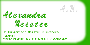 alexandra meister business card